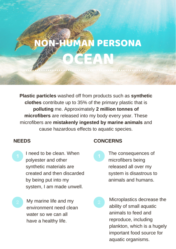 The Ocean - A non-human persona for UX Research